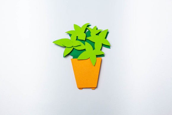 Potted Spearmint Layered Plant