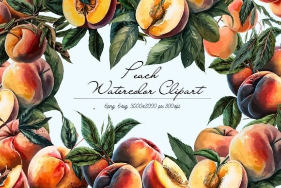 Watercolor Peach Clipart